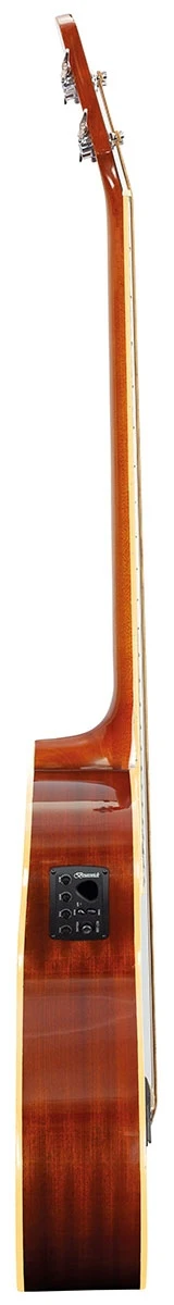 Brunswick Electro Acoustic Bass - Natural - Image 4