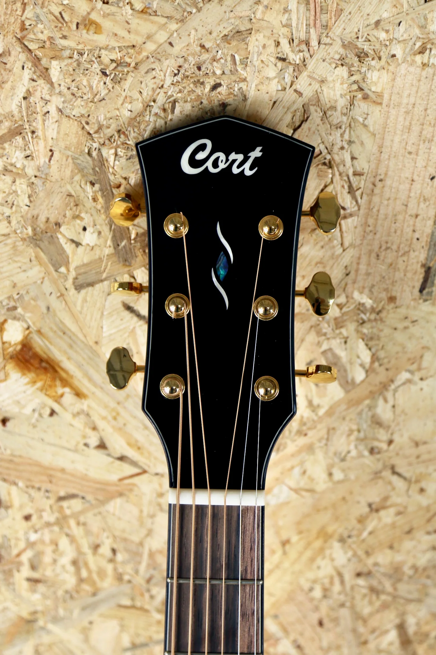 Cort Gold OC6 Electro Acoustic Cutaway Spruce/Mahogany All Solid Woods w/Gigbag - Pre-owned - Image 18