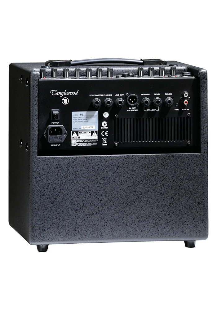 Tanglewood T6 60W Acoustic Combo Amplifier - Image 2